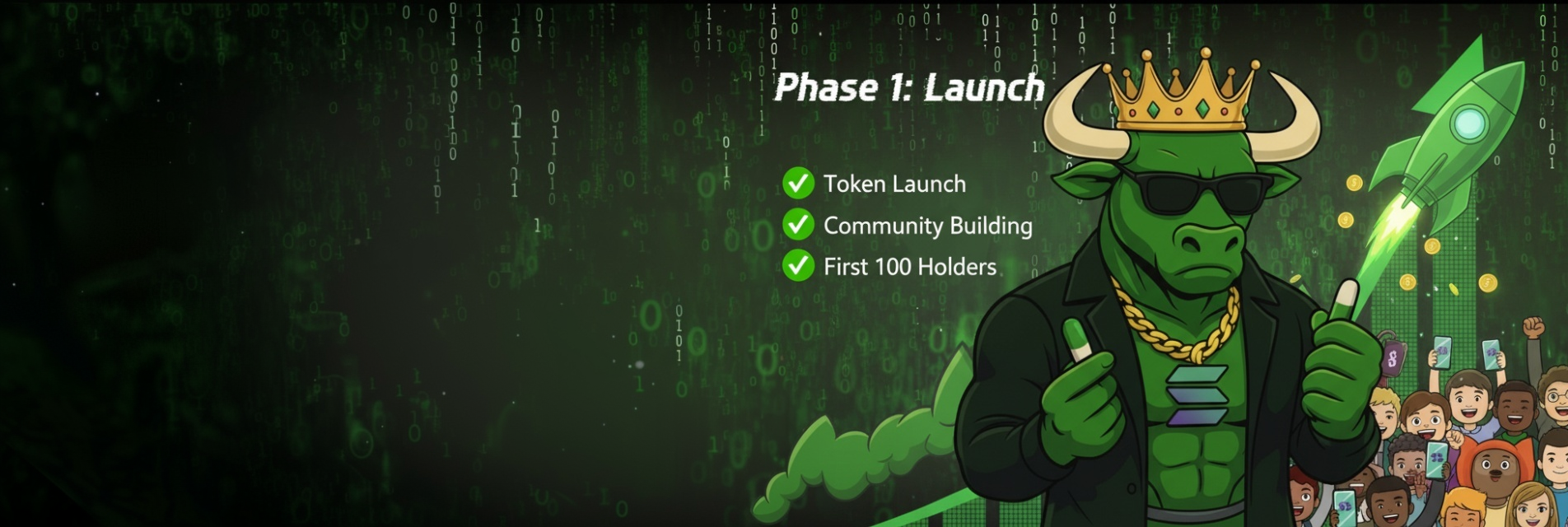 Phase 1 Launch